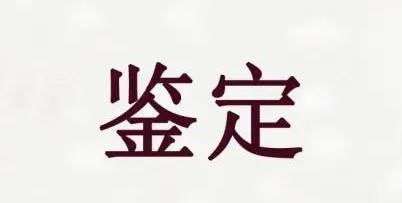 檔案鑒定服務